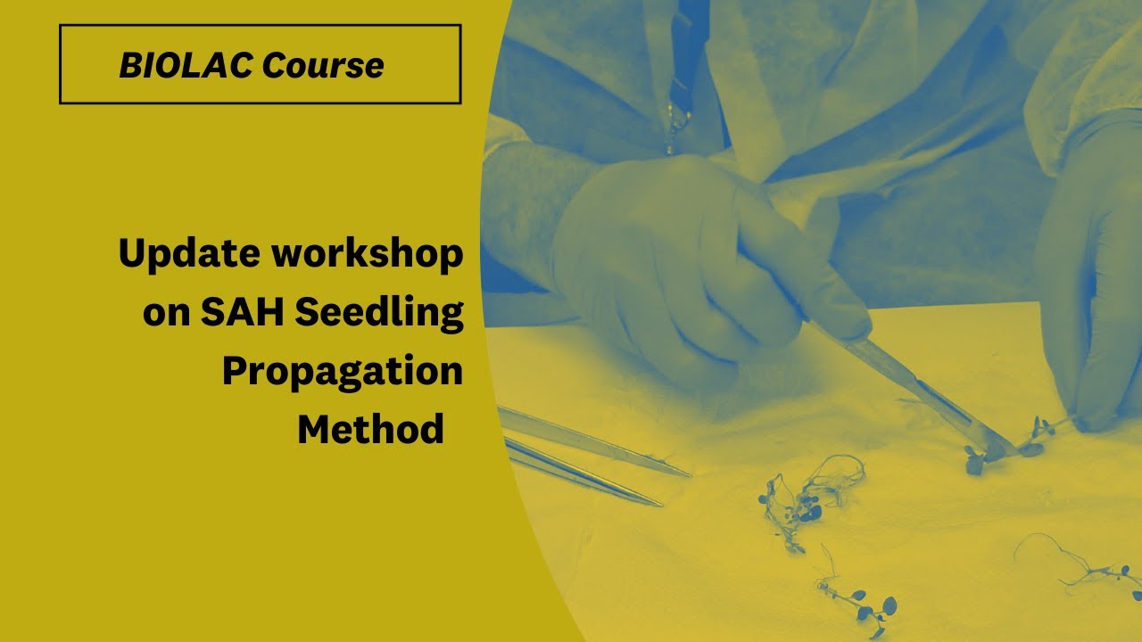 Update workshop on SAH Seedling Propagation Method