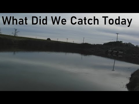 What did we catch today