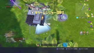 [フォートナイト]　　デュオ参加型！概要見てね！