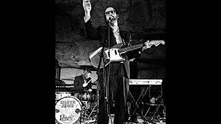 Silver Jews - Open Field