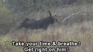 preview picture of video 'Konrad's moose kill'