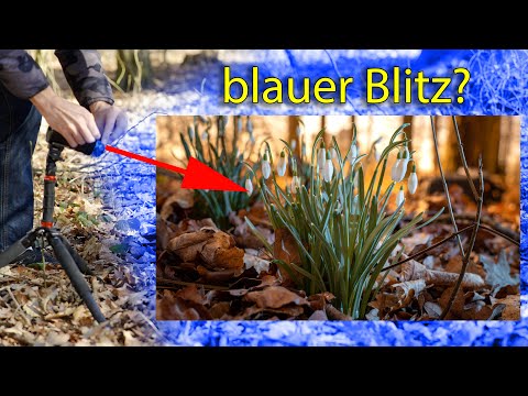 FOTOGRAFIEREN LERNEN 📸💡 Blauer Blitz für goldenes Licht? Raffinierter Weißabgleich!