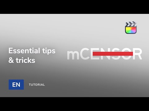 mCensor tips & tricks  — MotionVFX Support