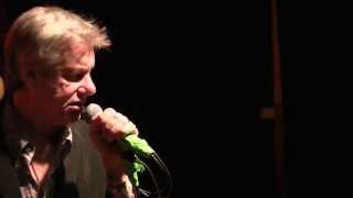 The Fleshtones: "Feels Good to Feel"