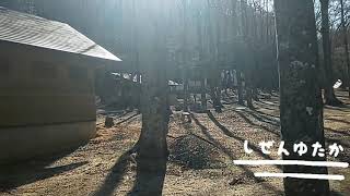 聖が岩ふるさと森 ソロキャンプ