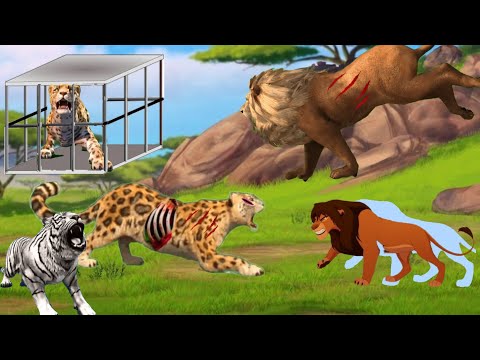 Simba the Lost Lion in the Eastern Forest | Simba the Lion King of the Jungle Cartoon | Dida's Tales