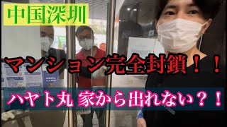 【中国最新情報】モーニングルーティン！！but マンション封鎖？！ハヤト丸が家から出れない？！