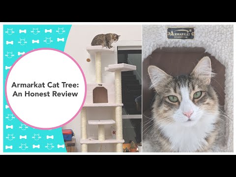 Armarkat Cat Tree: An Honest Review