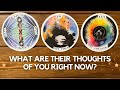 What are their thoughts of you right now? (Anyone) ✨🤔💭🔮✨| Pick a card