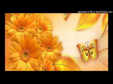 Esclavas y reinas - Enrique Campos - Graciano Gómez