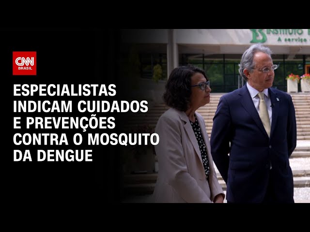Combate à dengue: medidas de prevenção, cuidados e novas tecnologias | CNN SINAIS VITAIS
