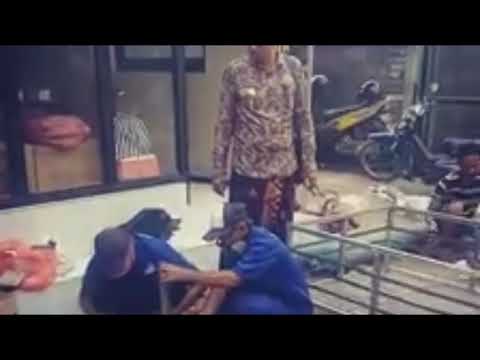 Website Resmi Informasi Desa Buduk