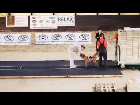 KMK's Bagera & Bonnie @ ADBA CZ July 2016