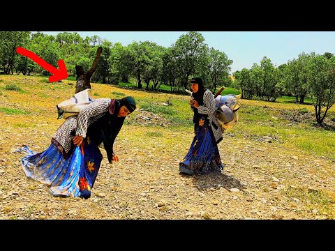 Fariba against Nature: Build a rescue shelter from the clutches of wild animals!