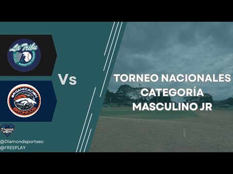 Softball Nacional Categoría Novatos JR ⚾️ TRIBU VS BRONCOS La Batalla por el Ascenso!