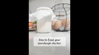 How to feed your sourdough starter