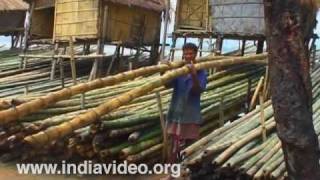 Bamboo, the treasure of Assam