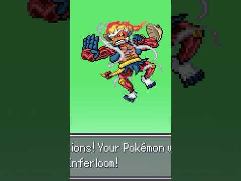 ONE PIECE POKEMON FUSIONS