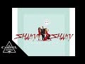 Daddy Yankee Shaky Shaky Audio Oficial