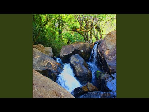 Hiato - Thiago Juraski