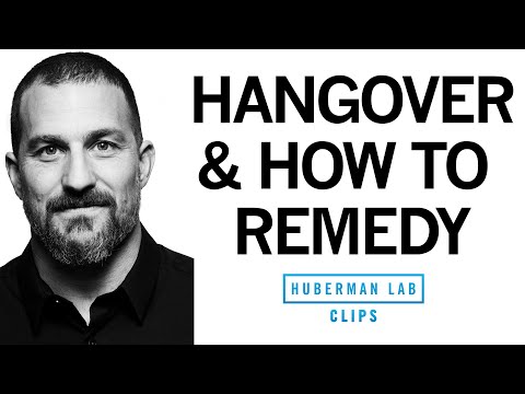 Alcohol, Hangovers & How to Cure a Hangover Based on Science | Dr. Andrew Huberman