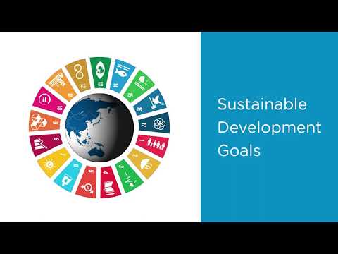 AMP Sustainability Report 2021