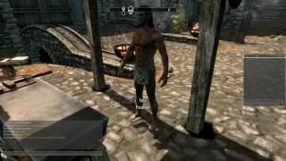The Elder Scrolls: Skyrim Online Mod