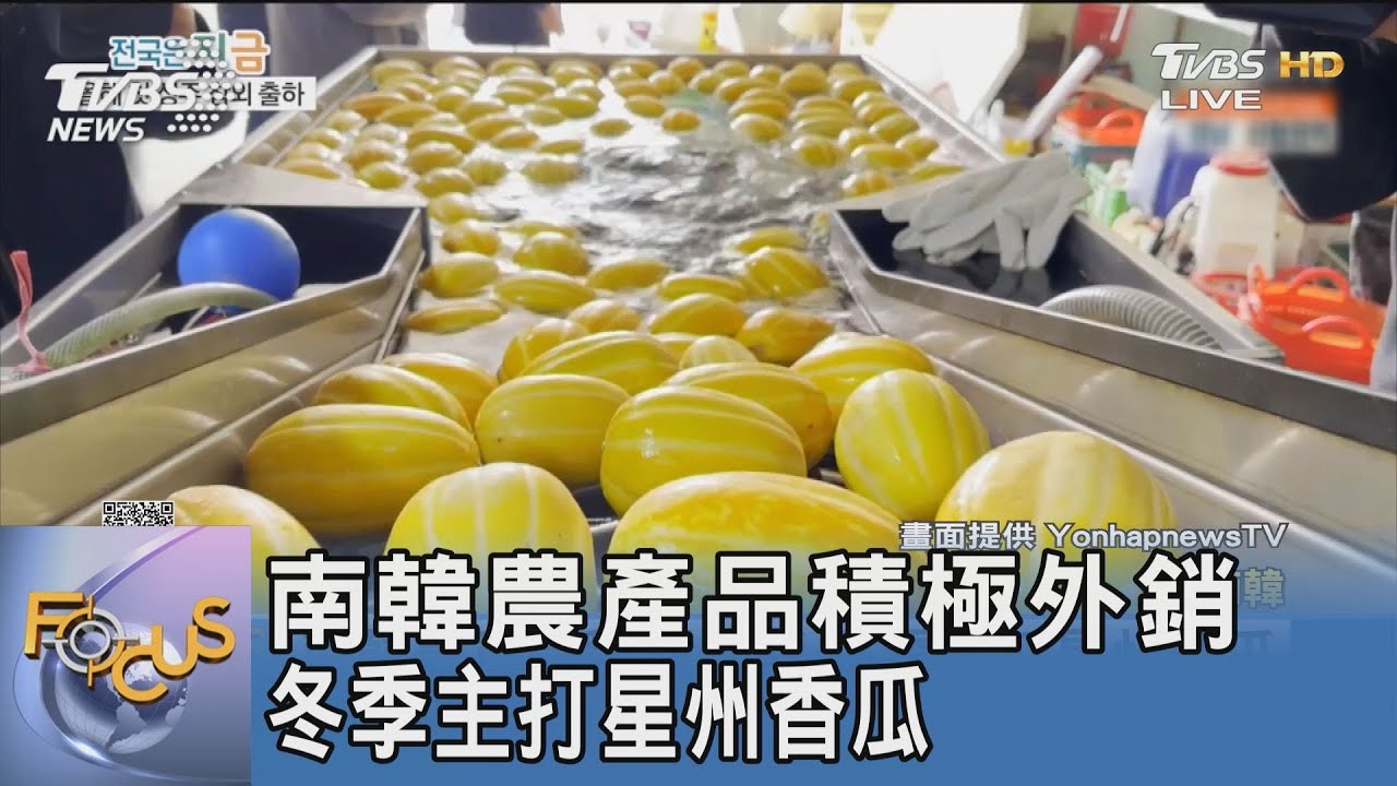 南韓農產品積極外銷 冬季主打星州香瓜