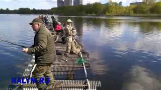 Ловля на москва реке боковым кивком