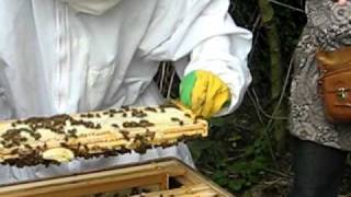 preview picture of video 'Manchester Bee Keeping Gorton Allotments.'