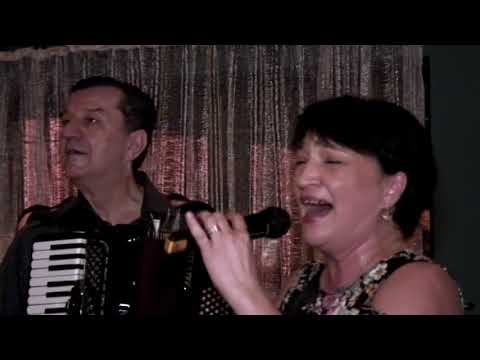 Harmoniko moja - Ljubiša Pavković, Danka Stojiljković & Vlada Stojanović bend