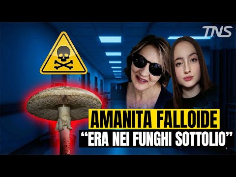 MADRE E FIGLIA MORTE PER INTOSSICAZIONE: sospetti sull'amanita falloide "É VELENOSISSIMA"