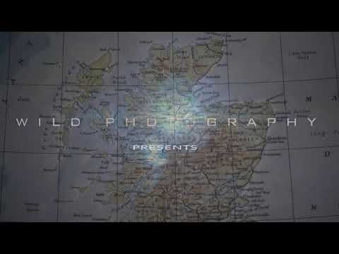 Wild Scotland