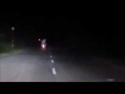Onça Ataca Motoqueiro na Estrada Martha Maria Sem Jesus