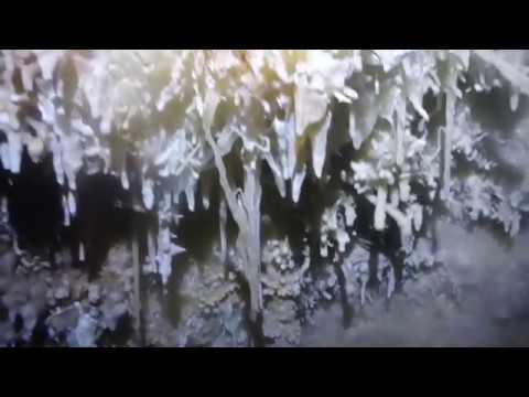 Sardinien Mai 2018 Grotta Todeitto