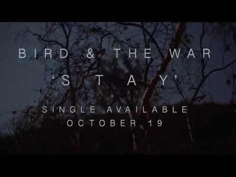 BIRD & THE WAR - STAY (SINGLE TRAILER)