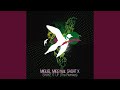 Shake It Up (J-Boogie Remix)