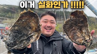 ;"초대박-크기!!-지금-시기에만-먹을-수-있는!!"