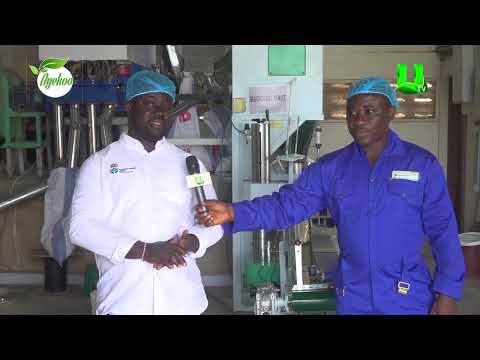 AYEKOO TOUR CENTRAL REGION, CENTRAL RICE MILLS