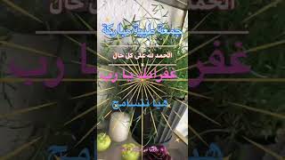 هيا نتسامح