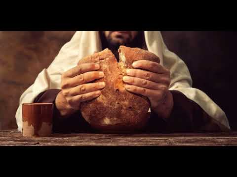 Partilhar É Vocação - Católica