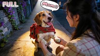 Download lagu Gadis Malang Terlahir Kembali Sebagai Anak Anjing Liar—Jika Ibunya Mengenalinya dalam 10 Hari, Menghidupkannya Kembali & Mendapatkan $2 Miliar! mp3