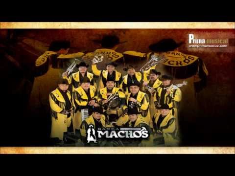 Banda Machos, Besame y Abrazame