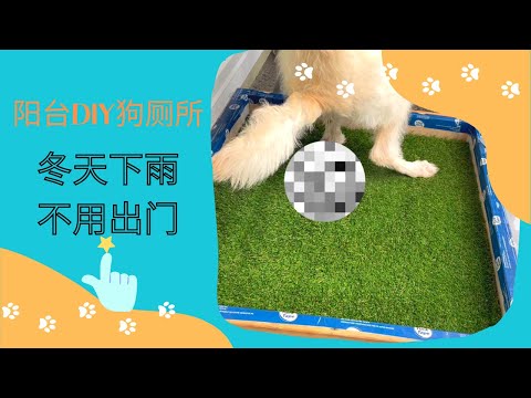 狗陽台佈置