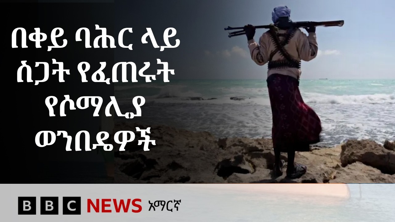 በቀይ ባሕር እንቅስቃሴ ላይ ስጋት የፈጠረው እና ሚሊዮኖች የሚጠየቅበት የሶማሊያ ባሕ?