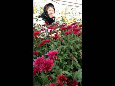 Aga Valentina Straina am  fost odata