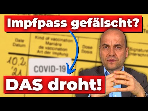 Fristlose Kündigung wegen gefälschtem Impfpass - 1. Urteile