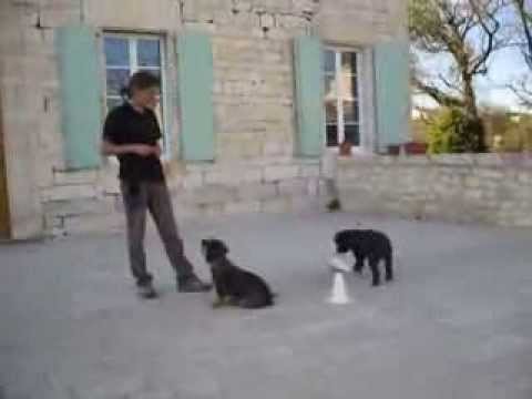 Shaping : Tcheuk imperturbable au boulot