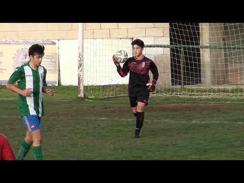 resumen cebre - r avila