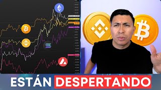 🔥 BNB NEW ATH | SOL AND AVAX RECOVER | BITCOIN REPEATS $114K